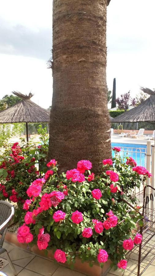 Brit Hotel Confort Helios Agde Exterior photo